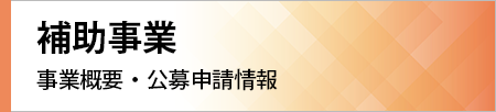 補助事業